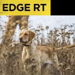Dogtra EDGE RT — изображение 2